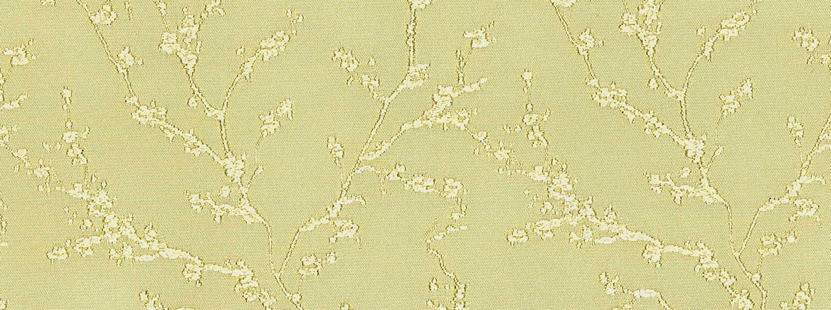 BUD BURST 10 CHAMPAGNE